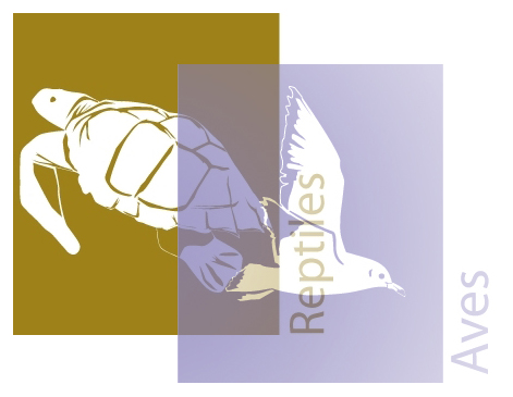 Logo para fichas del inventario de especies marinas