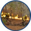 Información sobre incendios forestales