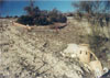 Cuenca y parcelas USLE nº 6 que, junto con la 4 y 5, integran la estación de Los Marines, Almería. (4/12/2001).