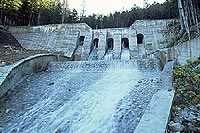 Dique en el río Rencules, Valle de Arán (Lérida)