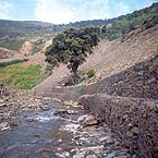 Muro longitudinal de protección de la margen derecha de río Hurdano (Cáceres)