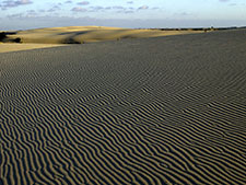 Dunas móviles, Doñana. José María Pérez de Ayala OAPN-MARM
