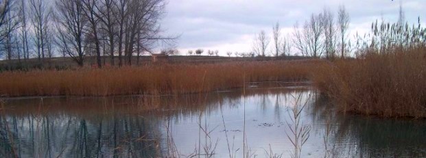 Ojos de Monreal. Nacimiento del río Jiloca 