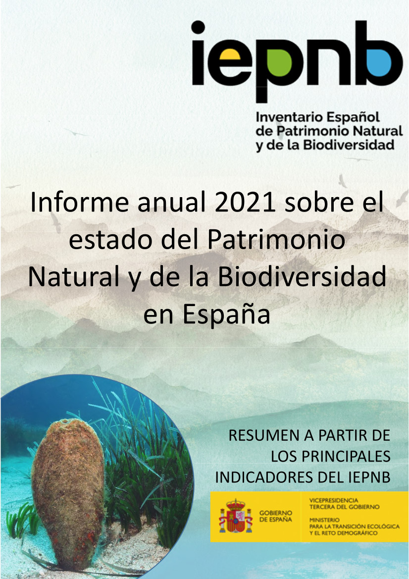 Portada Informe IEPNB