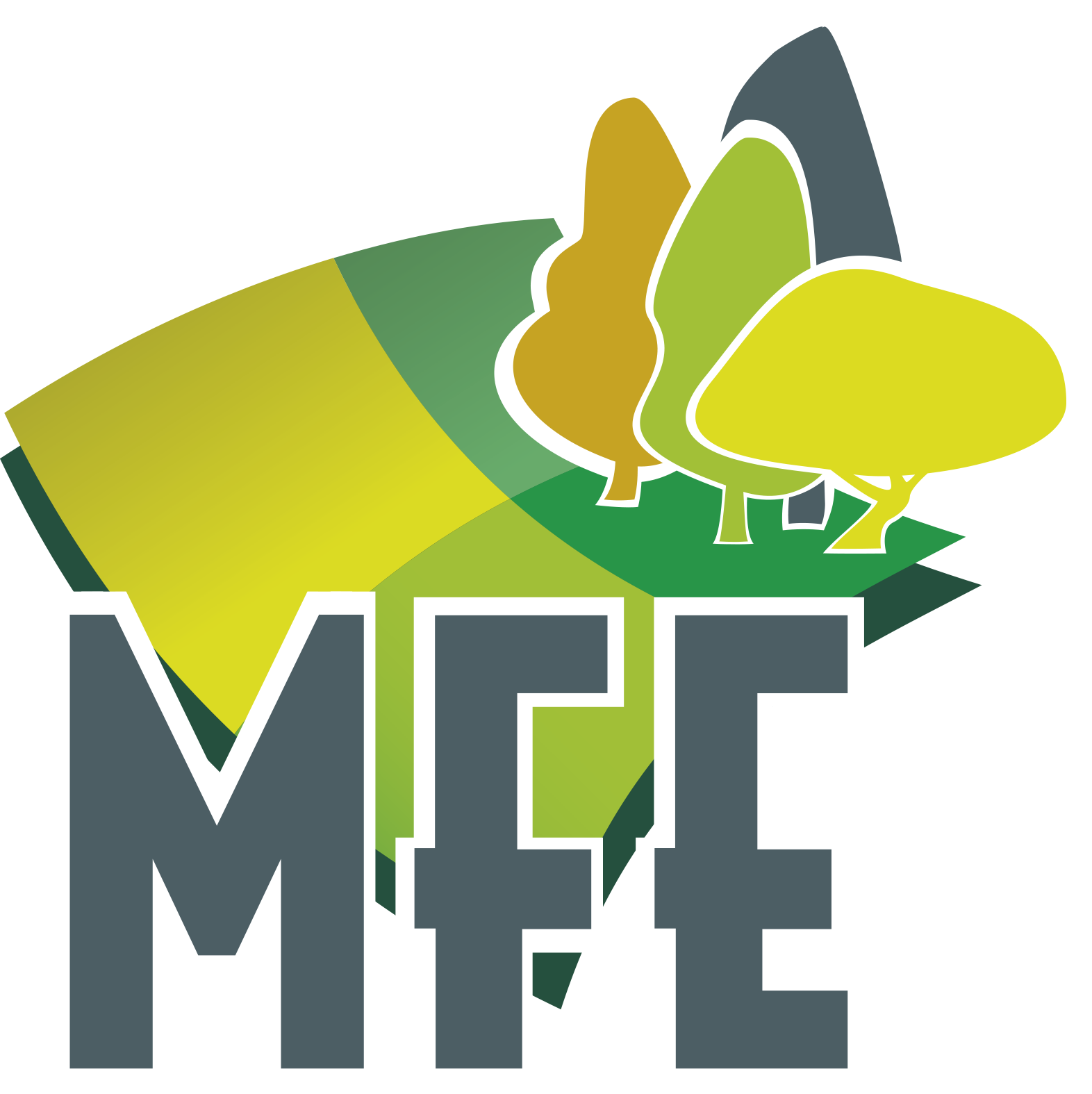 MFE25, base cartográfica IFN4