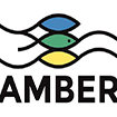 Proyecto AMBER