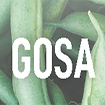 Proyecto GOSA