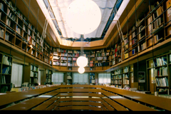 Biblioteca de la Consejería de Medio Ambiente y Ordenación del Territorio. Comunidad de Madrid