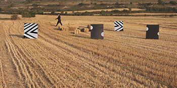 Antropoceno. Arte y Biodiversidad en Escenarios Periurbanos