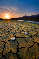 Exposición “La naturaleza y el Cambio Climático”