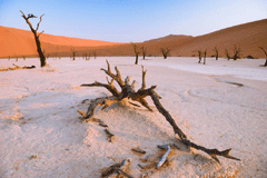 Exposición “La naturaleza y el Cambio Climático”