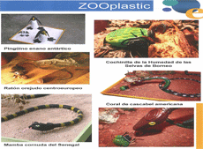 Recreaciones de especies de fauna