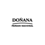 Doñana