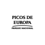 Picos de Europa