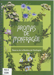 Fotografías de diferentes plantas aromáticas presente en Monfragüe