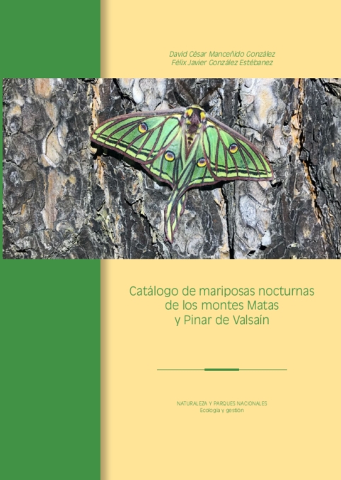 Mariposas nocturnas de los montes Matas y Pinar de Valsaín