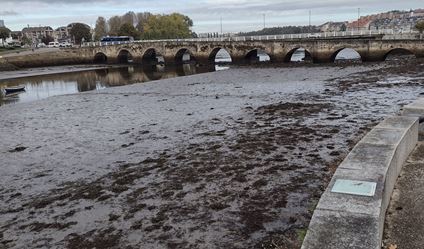 Dragado ambiental de los sedimentos de la ría de O Burgo