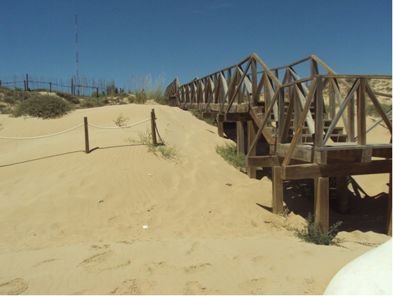 Acondicionamiento de accesos en las dunas de Guardamar