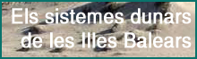 Els sistemes dunars de les Illes Balears 