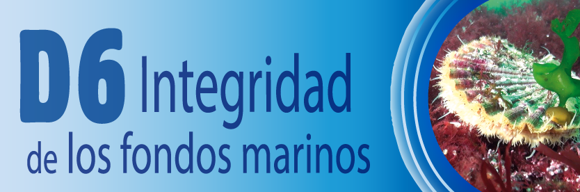 Descriptor 6 - Integridad de los fondos marinos