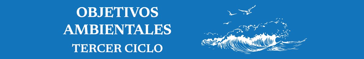 Portada del documento de "Actualización de los objetivos ambientales y sus indicadores en el marco del tercer ciclo de las estrategias marinas"