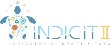 Logo Indicit-II