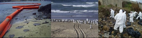 Composición de técnicas de lucha en la costa