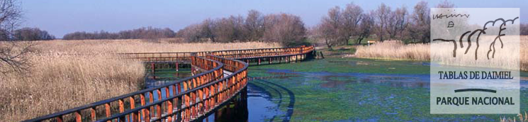 Tabla con pasarelas. F.Cámara. Parque Nacional Tablas de Daimiel