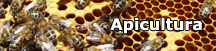 Normas que regulan la actividad apícola en el Parque Nacional del Teide.