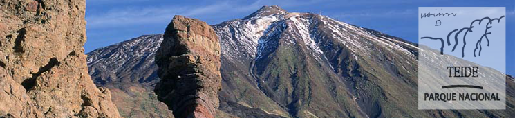 Roques y Teide. J.M.Reyero