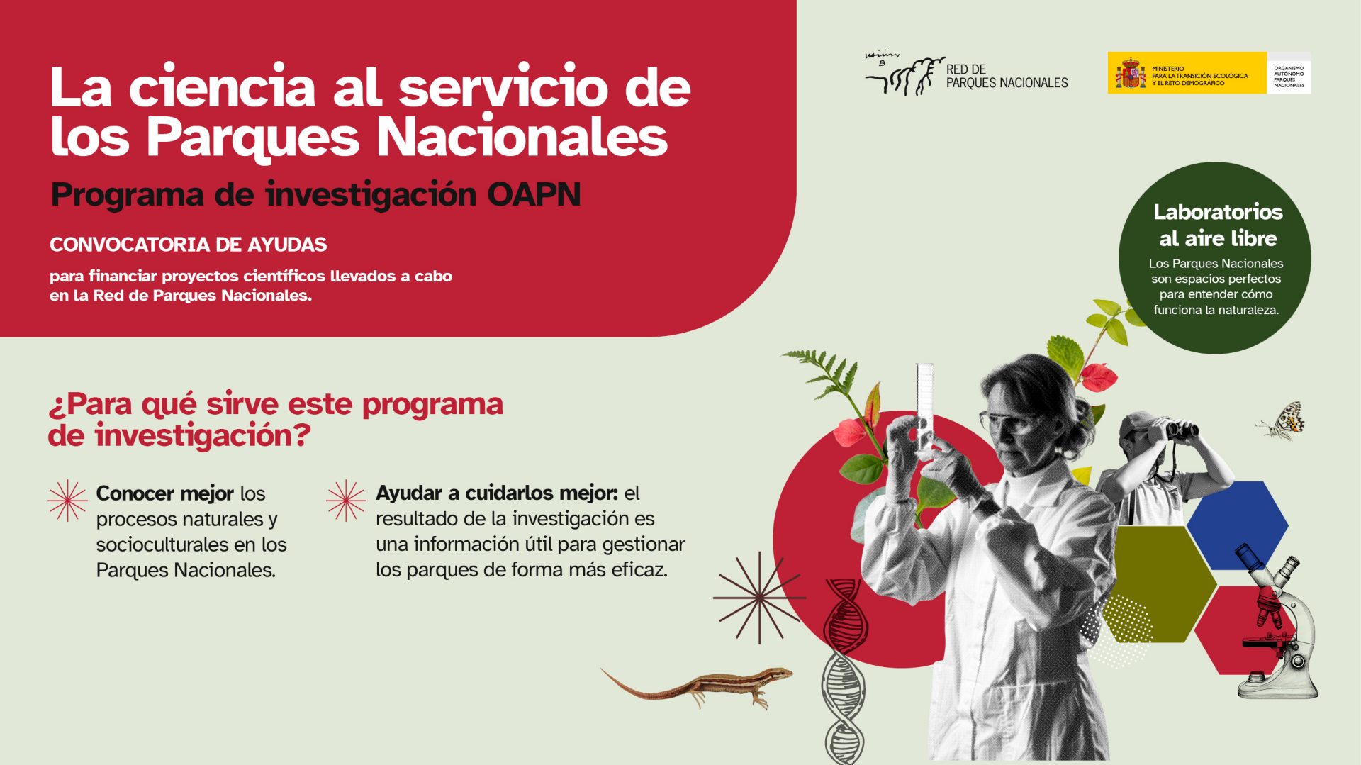 EL Programa de investigción