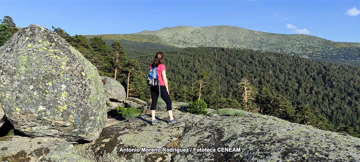 Sierra de Guadarrama