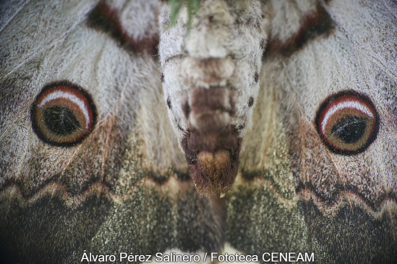 Sierra Norte de Guadarrama