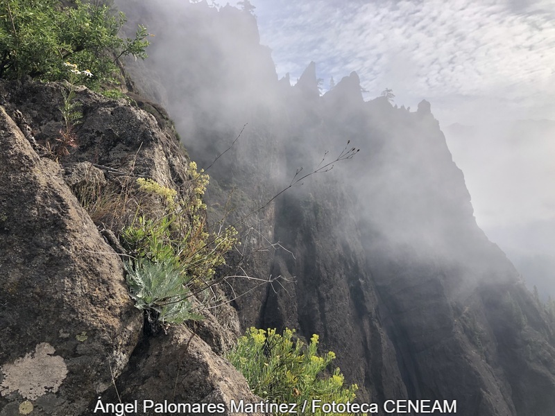 La Caldera de Taburiente