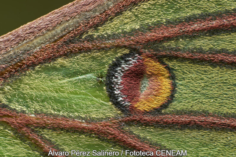 Sierra Norte de Guadarrama