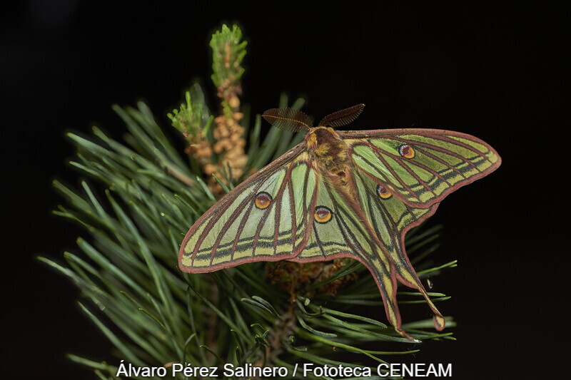 Sierra Norte de Guadarrama