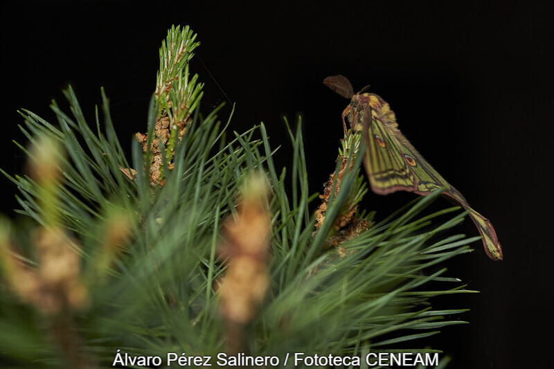 Sierra Norte de Guadarrama