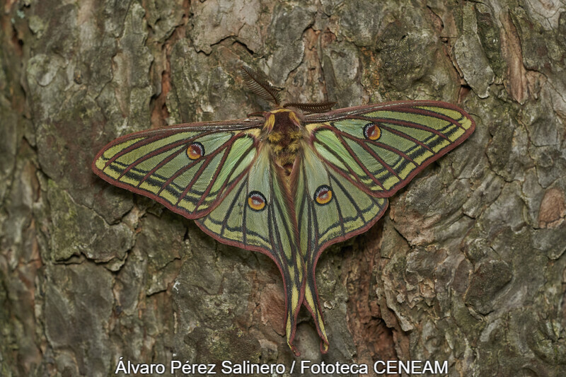Sierra Norte de Guadarrama