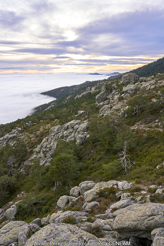 Sierra Norte de Guadarrama