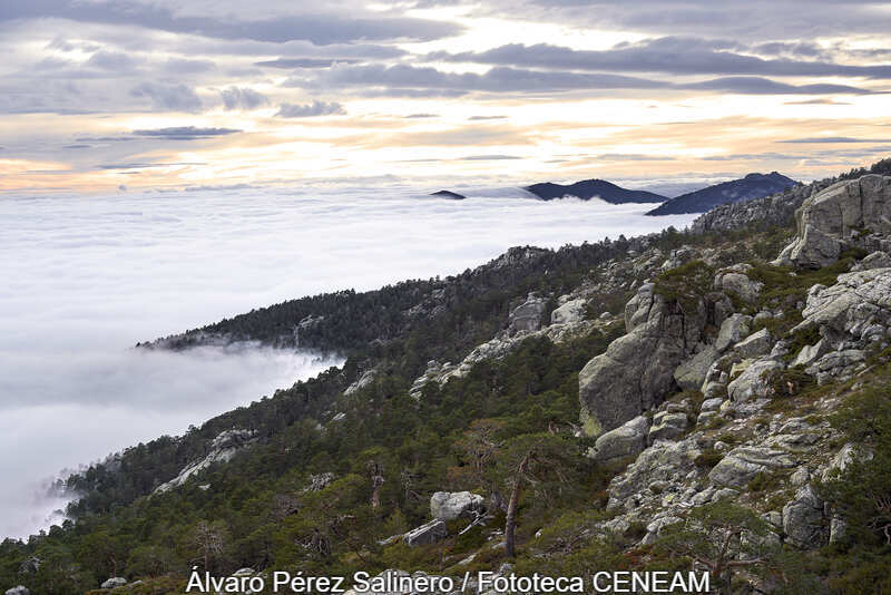 Sierra Norte de Guadarrama