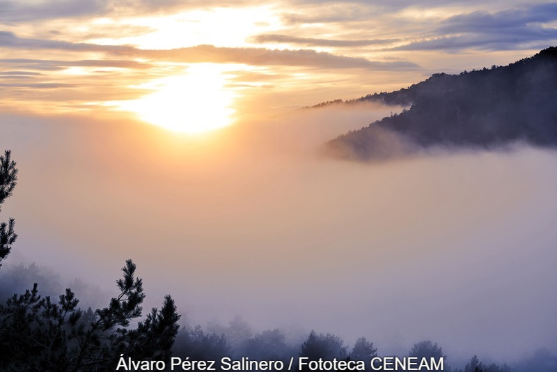 Sierra Norte de Guadarrama