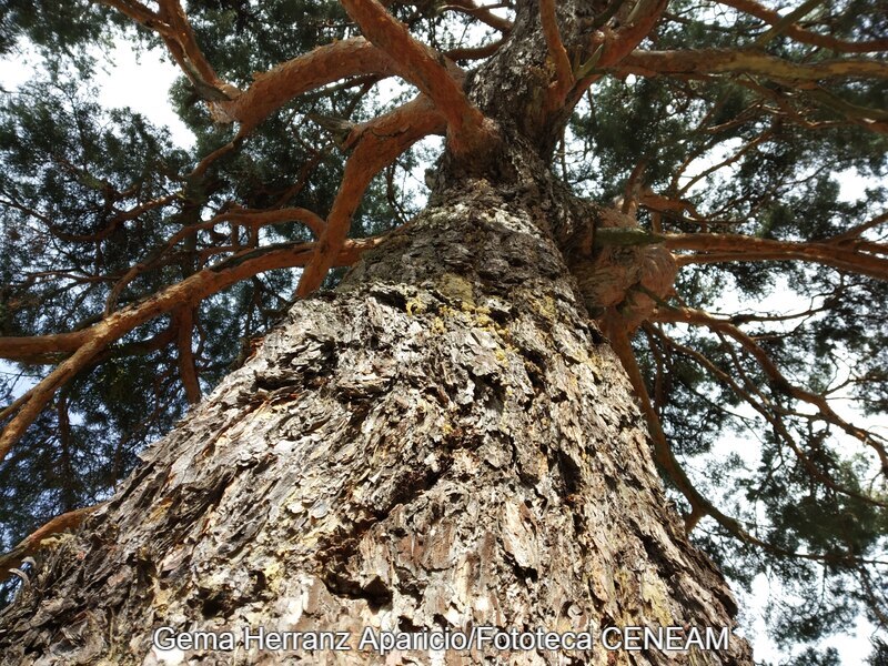 Sierra Norte de Guadarrama