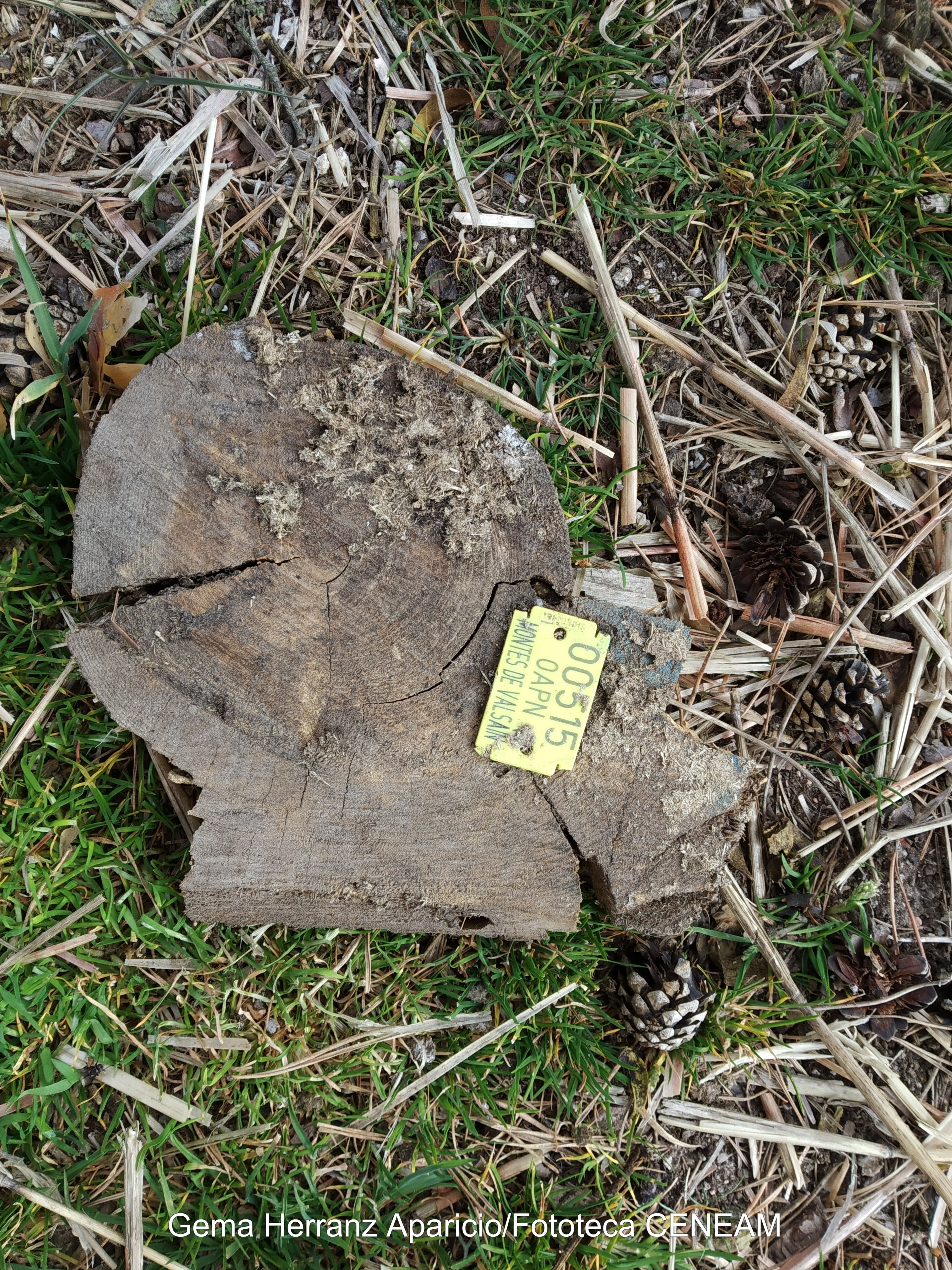 Sierra Norte de Guadarrama