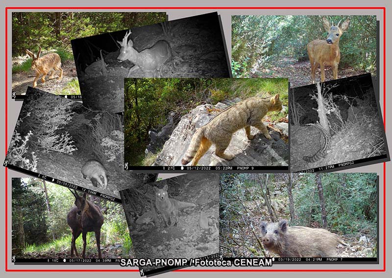Ordesa y Monte Perdido