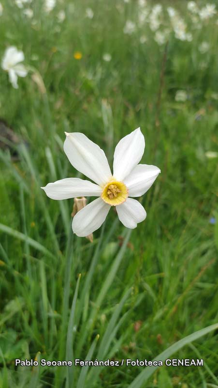 Aigüestortes i Estany de Sant Maurici