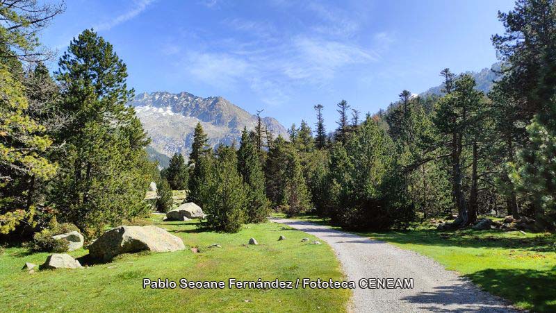 Aigüestortes i Estany de Sant Maurici