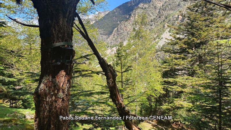 Aigüestortes i Estany de Sant Maurici
