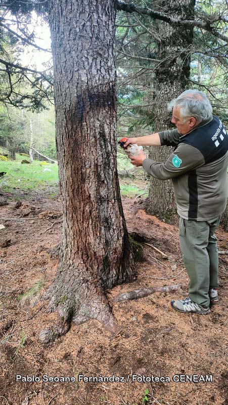 Aigüestortes i Estany de Sant Maurici