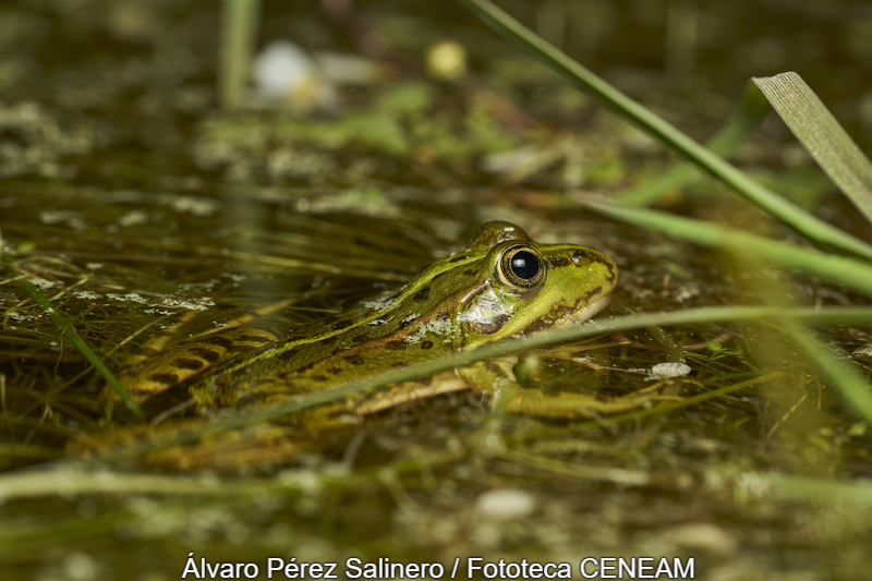 Sierra Norte de Guadarrama