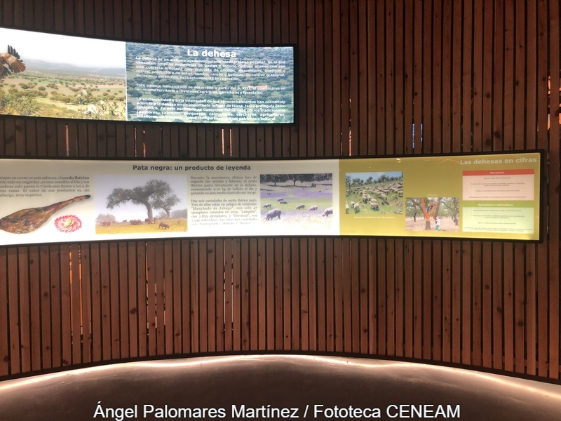 Sierras de Cazorla Segura y Las Villas